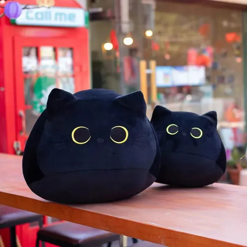 MIDNIGHT CAT
