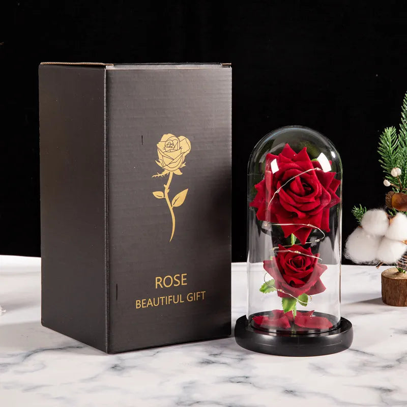 EVERGLOW ROSE