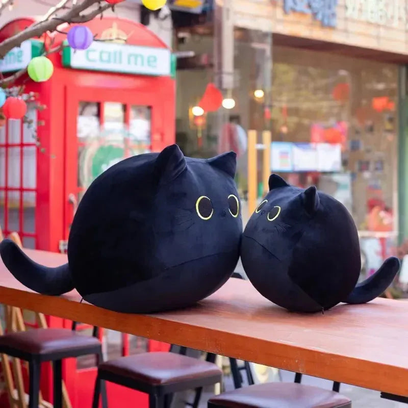 MIDNIGHT CAT