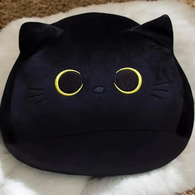 MIDNIGHT CAT