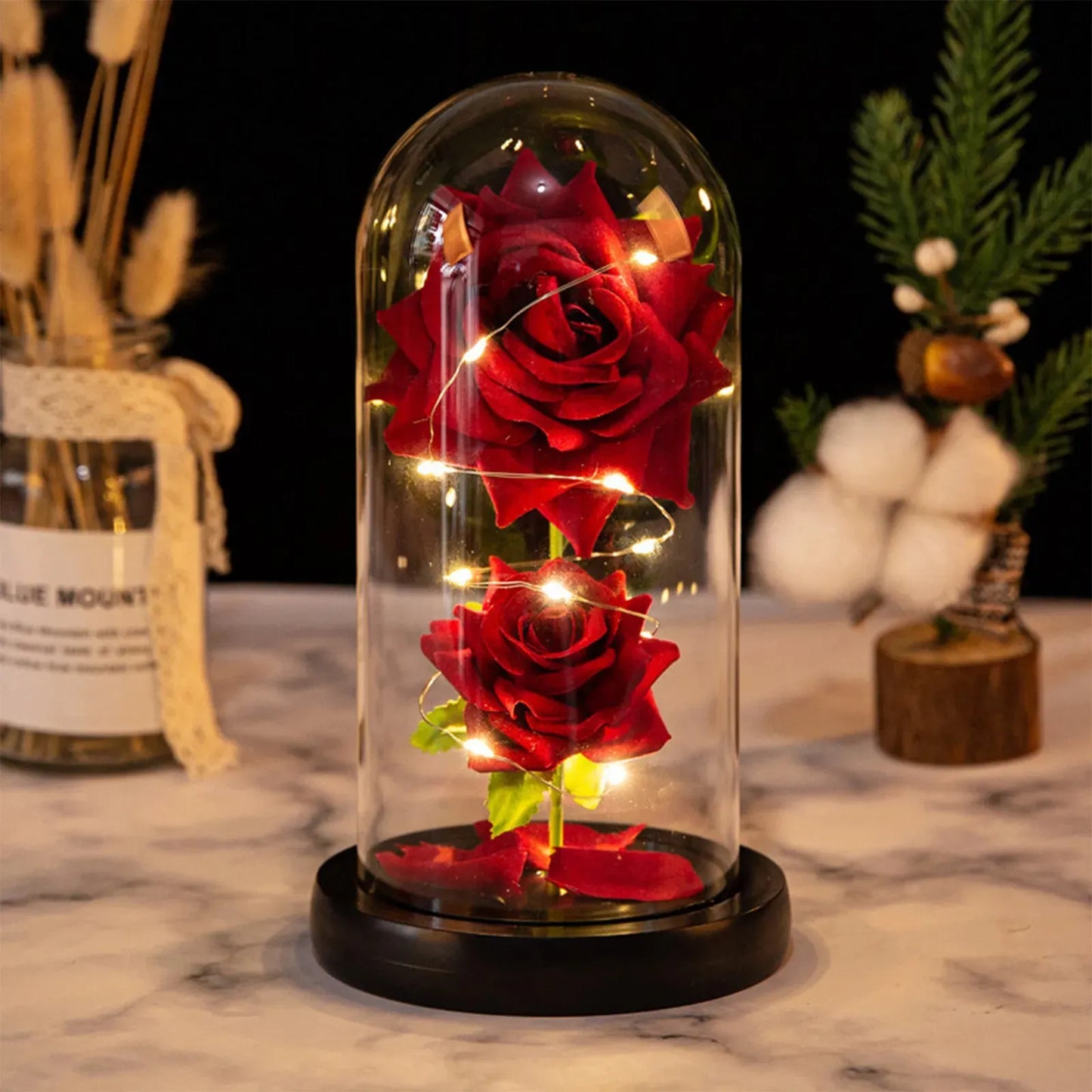 EVERGLOW ROSE