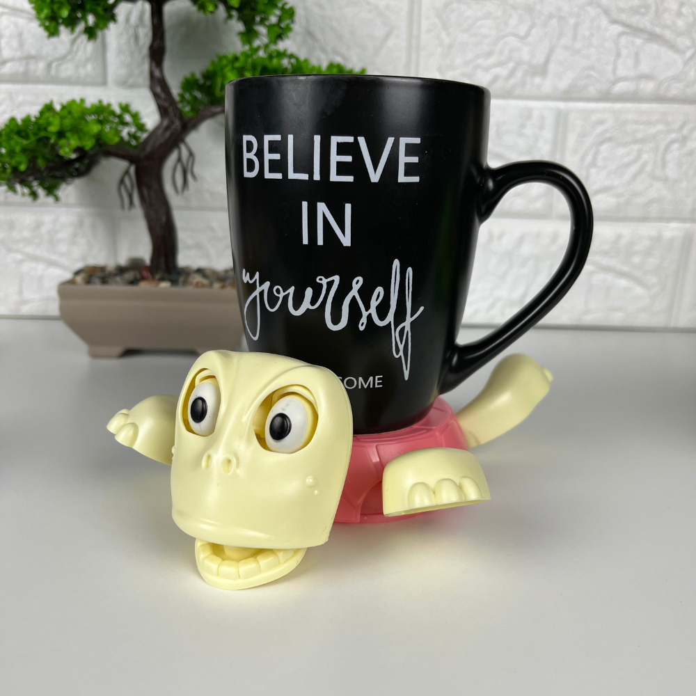 Funny Turtle Coaster