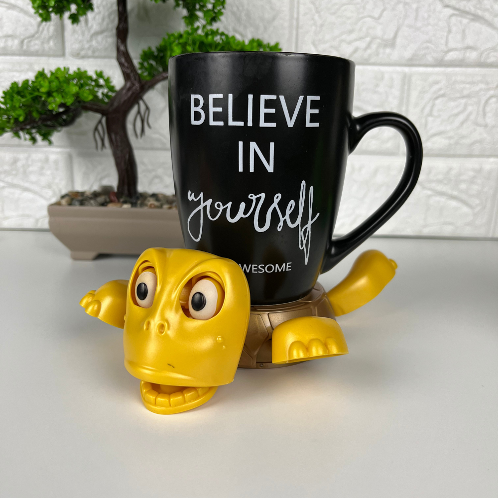 Funny Turtle Coaster